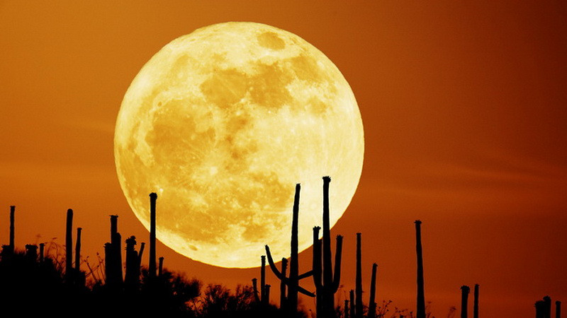 Cat mai costa sa cumperi luna de pe cer?