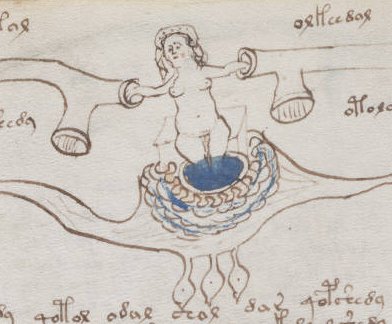 manuscrisul lui Voynich