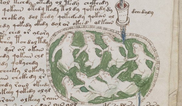 manuscrisul lui Voynich