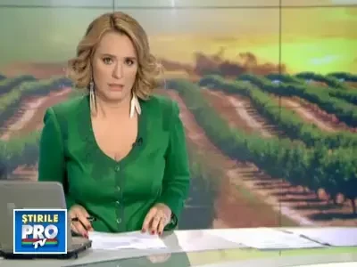 Daca Nică ar fi trait si astazi nu ar mai fi avut ce fura. Ciresele romanesti, distruse de vreme