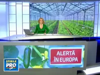 Bacteria din castraveti care omoara se raspandeste in Europa. Cum poti sa te feresti de pericole