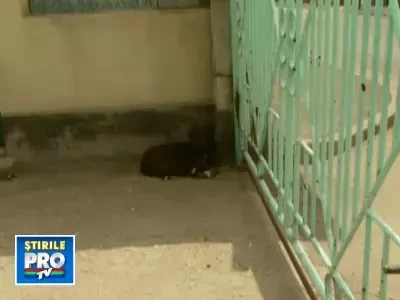 Rochia printesei Kate a fost facuta in Romania. Cum arata fabrica de confectii din Ferentari. VIDEO