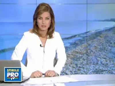 Marea Neagra ar putea ramane fara delfini.13 au fost gasiti morti pe plaja dintre Mamaia si Navodari