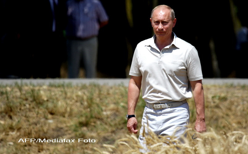 Se ieftineste painea. Rusia anunta ca va incepe sa vanda din nou cereale