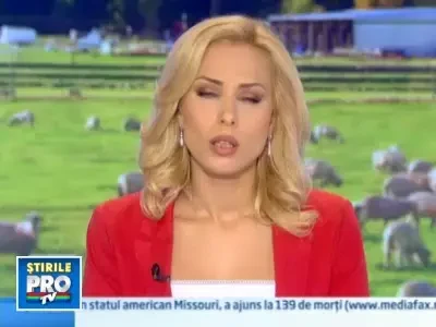 Vaca baltata si albina carpatina, exemplare extraordinare pe care Romania le pierde din nepasare