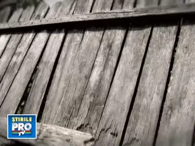 Romania, te iubesc! Analfabetismul se transmite ca o boala rara, dar sigura