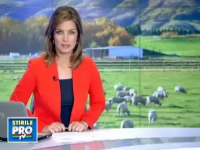 Vaca baltata si albina carpatina, exemplare extraordinare pe care Romania le pierde din nepasare