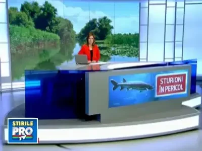 Dunarea, in pericol. Imbunatatirea navigatiei ar putea insemna disparitia sturionilor din fluviu