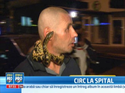 Sarpele Gogu a fost arestat