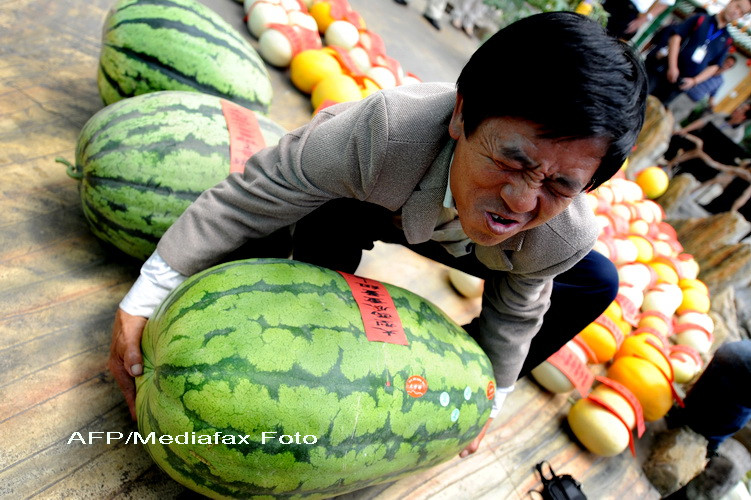 Siguranta alimentara, prioritate in China. Ce pedepse risca cei care incalca regulile