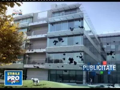 Stirile ProTv de la ora 19.00 cu Andreea Esca - 30.05.2011