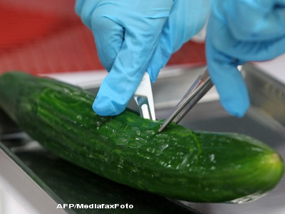 Isteria castravetilor cu E-coli. Legumele din Romania, Turcia si Bulgaria sunt sigure