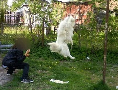 Soc pe Facebook. Poza care a oripilat internautii