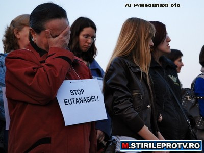 Legea privind eutanasierea maidanezilor, adoptata pe articole. Votul final se da saptamana viitoare