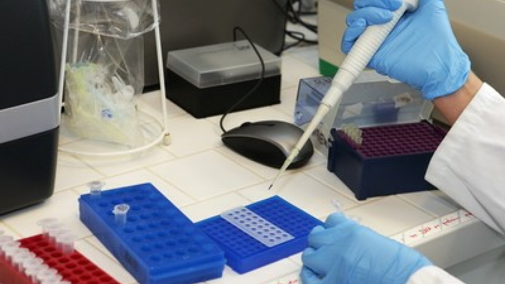 Bacteria E-coli a omorat 16 oameni. Europa, debusolata. Germania admite: Castravetii NU sunt de vina