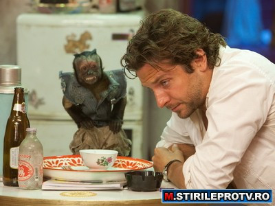 Comedia anului a ajuns in Romania. Unde poti sa vezi "Marea Mahmureala 2"