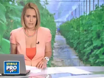 Germania si Cehia nu mai importa castraveti din Romania. Scandalul E.coli loveste in agricultura