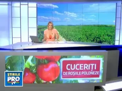 Polonezii i-au invins pe italieni si greci si ne-au cucerit pietele cu rosiile lor