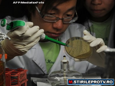 O gradinita din Sibiu e invadata de bacterii E. Coli