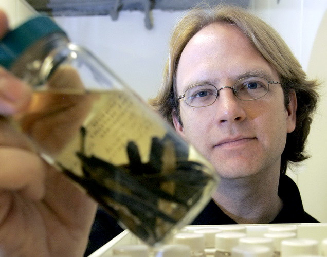 Mefisto traieste la 1,3 km sub pamant. Cercetatorii au ramas socati cand l-au descoperit