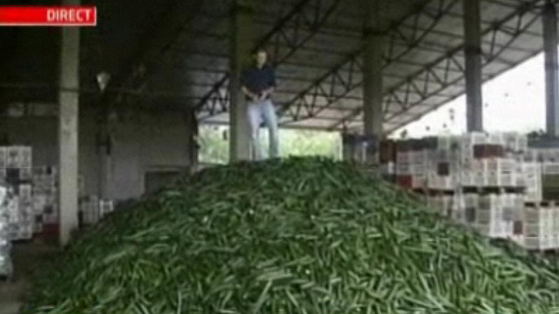 Propagarea bacteriei E.coli, in versiunea virulenta, care a omorat 19 oameni, pare sa se fi oprit