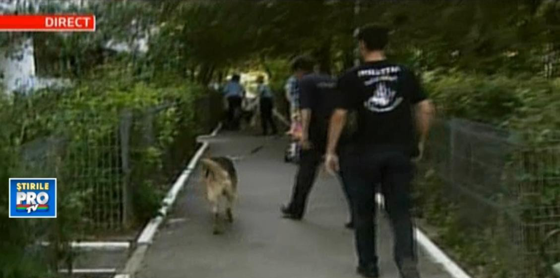 VIDEO: Cainii politiei alearga dupa un hot de masini, impuscat in picior de politisti