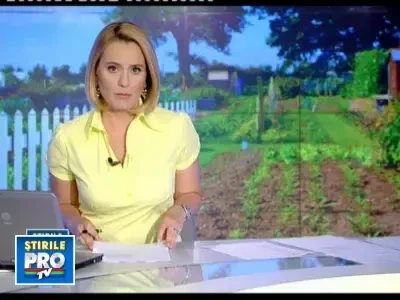 Legitima aparare sau omor? Cum se apara barbatul al carui gard electric a omorat un copil