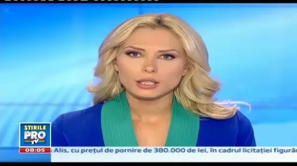 Sfasiati de cainele medicului veterinar. Asta au patit 2 barbati din Bistrita Nasaud