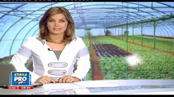 Vreti sa va rotunjiti veniturile? Luati-va un job in timpul liber