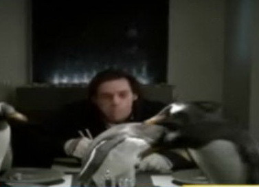 VIDEO Jim Carrey imparte apartamentul cu sase pinguini