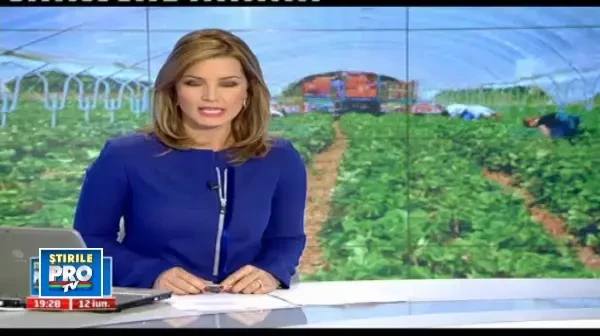 Drama copiilor cu parinti plecati la munca in afara: