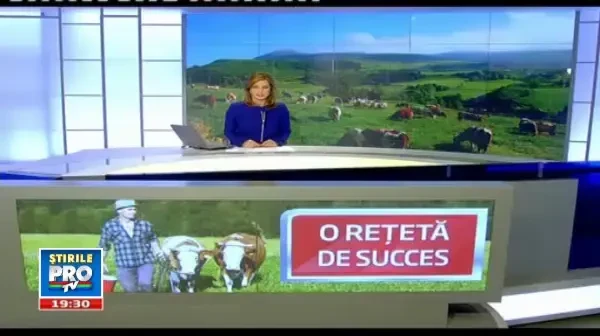 Somerii din Iasi s-au apucat de o afacere care nu are cum sa dea gres: agricultura bio