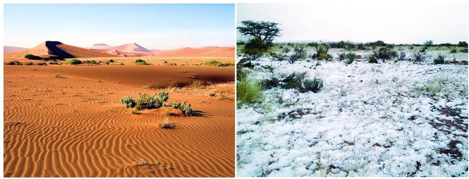Haos climatic. A nins in mijlocul desertului. FOTO