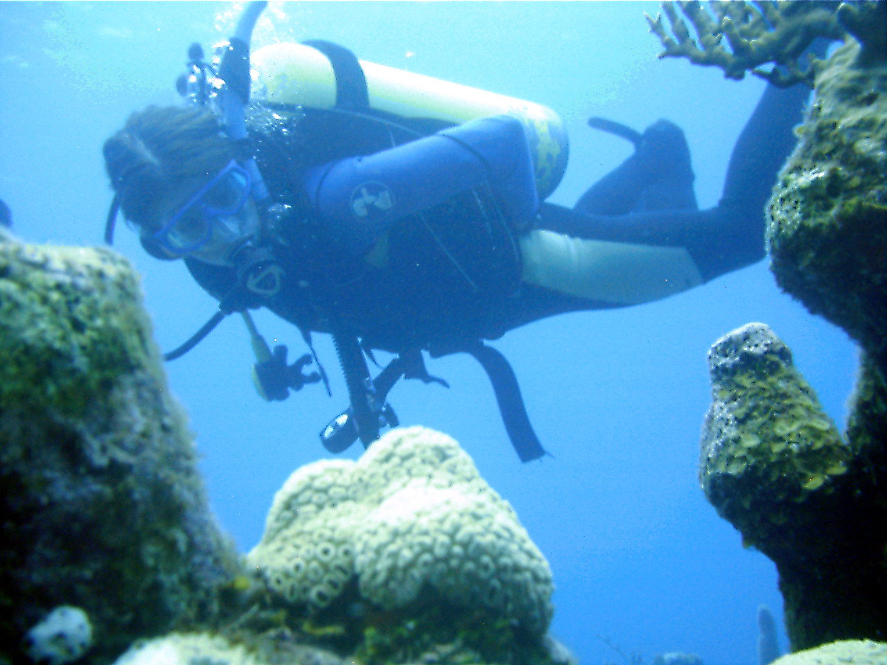 2000 de euro pe luna dupa doar doua luni de cursuri. Cum poti ajunge la un asa salariu