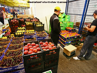 Sute de cultivatori din Constanta se pregatesc sa vina pe piata cu legume bio, ieftine, romanesti
