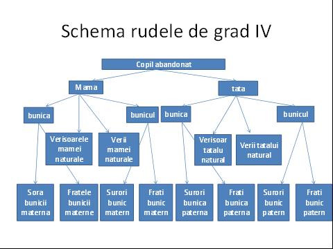 Azi, 19:00, Paula Herlo iti demonstreaza cum 50 de rude trebuie sa-si dea acordul pentru o adoptie
