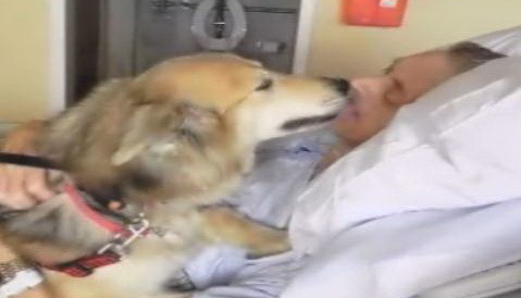 VIDEO emotionant. Ultima dorinta a unui barbat pe patul de moarte: sa-si mai vada o data catelusa