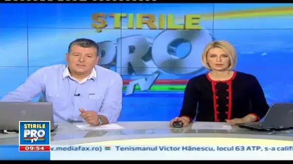 Povestea lui Happy Feet, devenita realitate. Un pinguin a calatorit 6.500 de kilometri. VIDEO