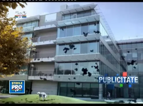 07_00_00_23_06_2011_10_02_00_23_06_2011