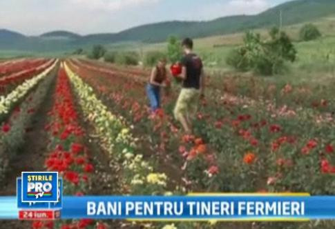 40.000 de euro ca sa te muti la tara. Dai mapa, iei sapa si incepi o afacere pe banii UE