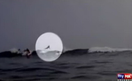 VIDEO uimitor. Momentul in care un surfer vede un rechin sarindu-i deasupra capului