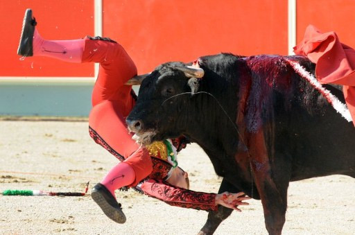 VIDEO socant. Un taur i-a sfartecat fata unui matador, inainte sa fie ucis