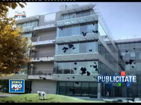 07_00_01_28_06_2011_10_01_00_28_06_2011