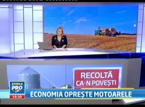 Recolta ca-n povesti la cereale. Cu toate acestea, pretul painii nu va scadea