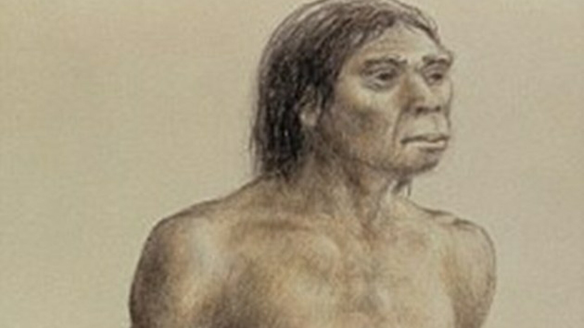 O noua descoperire arheologica ar putea schimba radical teoriile privind evolutia speciei umane