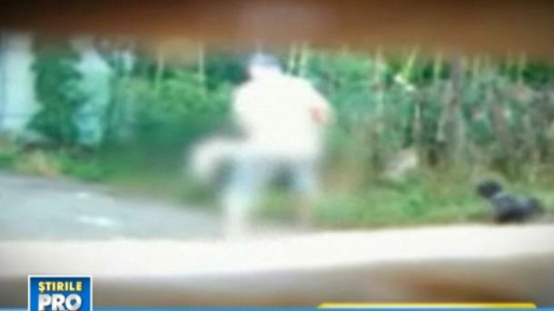 IMAGINI SOCANTE. Catel batut de un animal. A lovit patrupedul vecinului cu furca