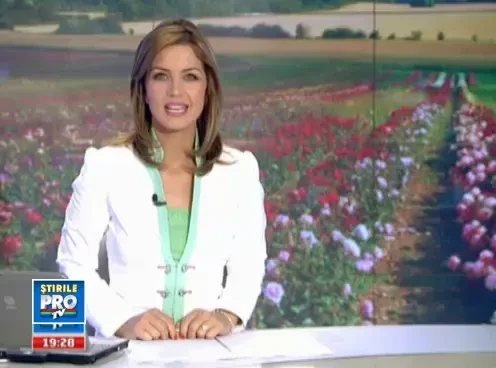 19dulceata_trandafiri