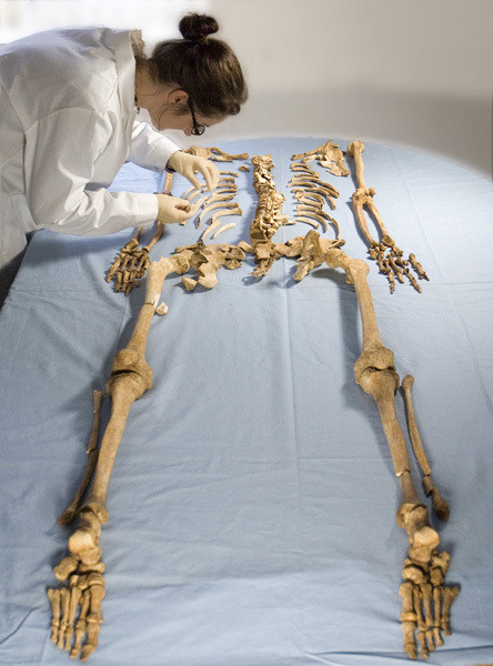 Fragmente de oase umane gasite pe un santier in lucru din judetul Cluj