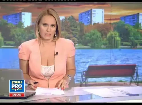 Romania e invadata de muste din cauza caniculei si a ploilor. Riscam sa luam boli grave