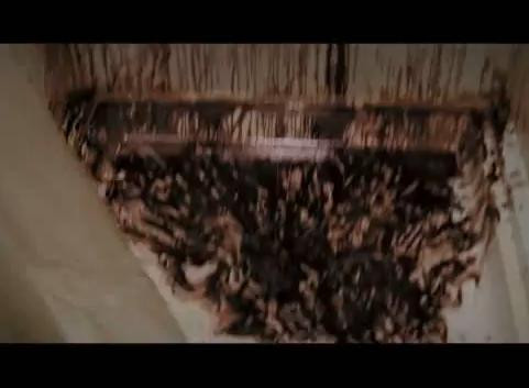 Festival dupa festival in fosta capitala culturala europeana .Sibiul este din nou gazda